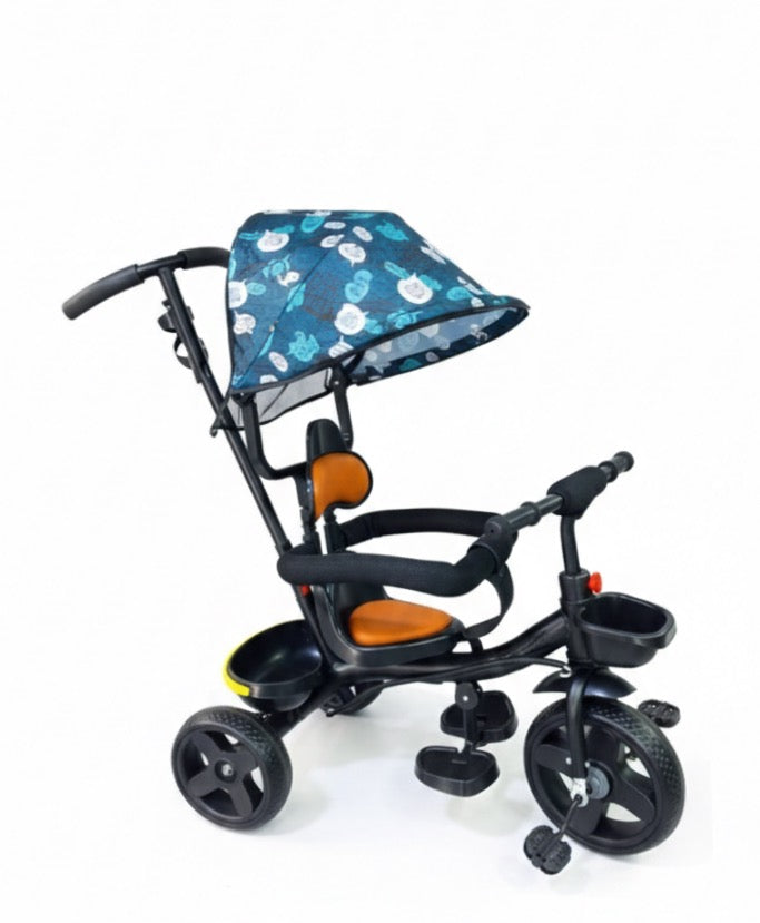 Tricycle with canopy