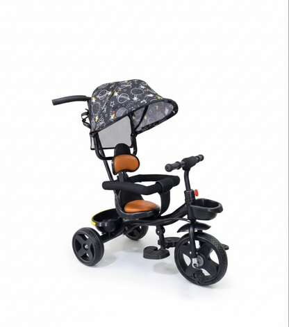 Tricycle with canopy